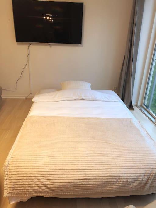1 Bedroom Designer Flat Apartment Copenhagen